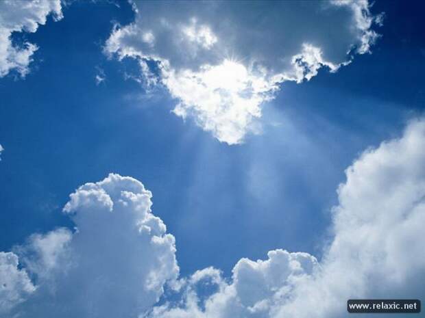 nature_035