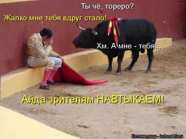 Котоматрицы(картинки с надписями)
