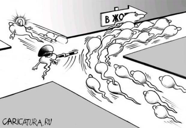 Карикатуры, позитив пришел.