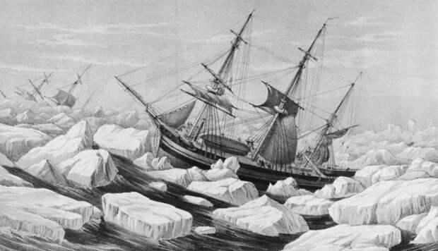 Каннибализм Каннибализм