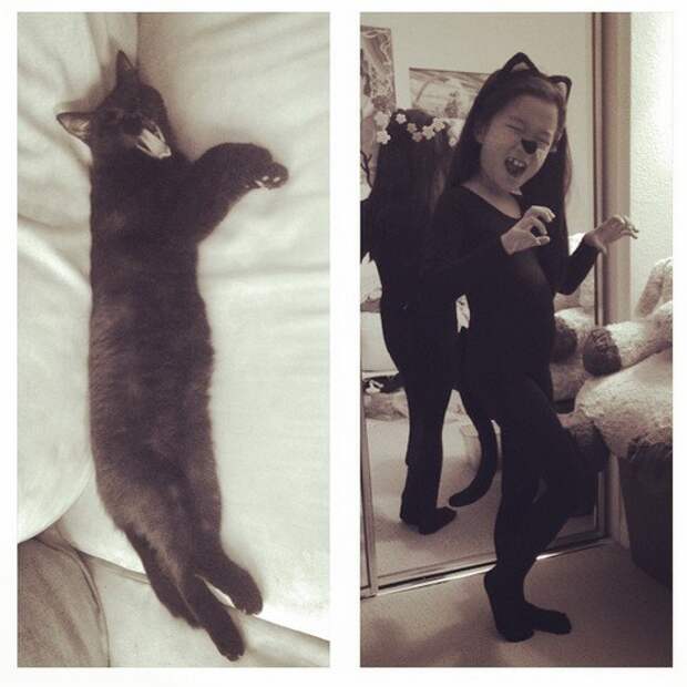 18. На Хэллоуин вы можете надеть костюм черной кошки и стать похожей на любимицу любовь, причина, черный кот