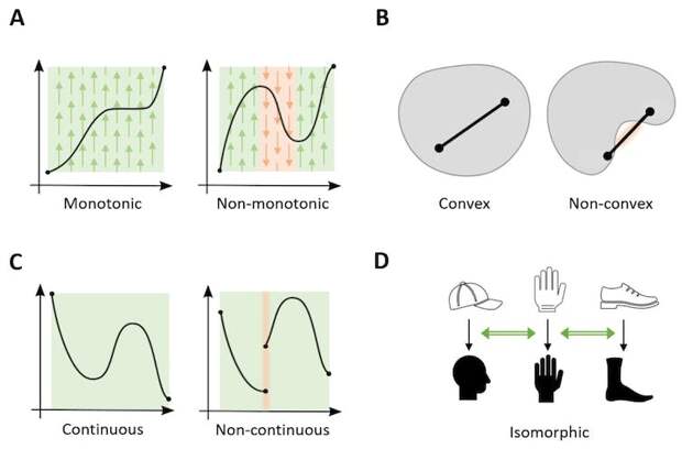 A figure illustrating the four principles of monotonicity, convexity, continuity and isomorphism.