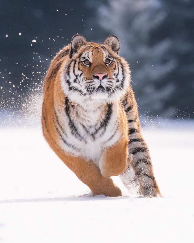 www.vsyako.net