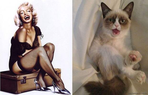 Кошки и девушки в стиле пинап pinupcats03 Кошки и девушки в стиле пинап