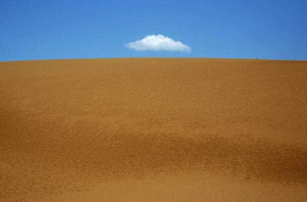 Песчаный Лотос — удивительный отель в пустыне (7)