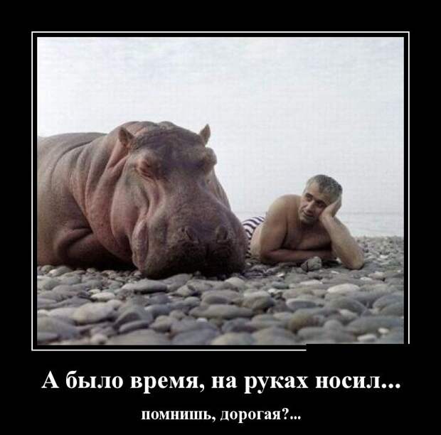 Демотиваторы (30 фото) Демотиваторы (30 фото)