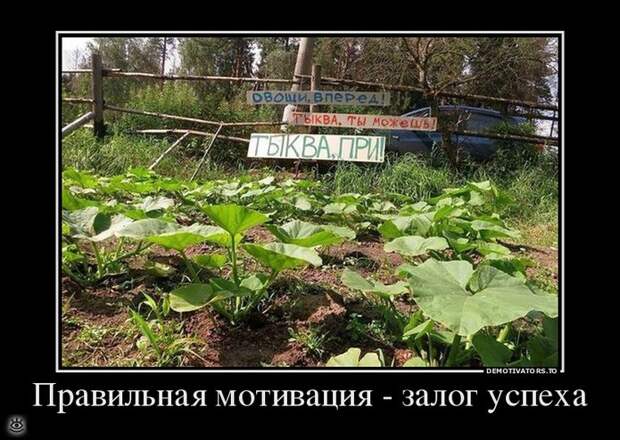 Непреклонные демотиваторы 11