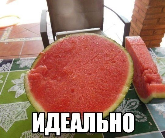 Рай для перфекциониста