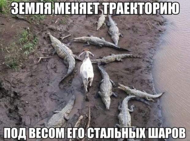 Пятничные картинки и фото-приколы (56 шт)
