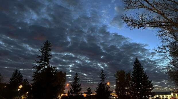 Такой день. Февральская оттепель и строительство сгоревшего "Теплого рынка"