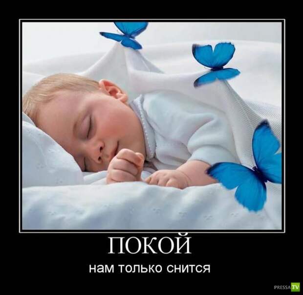 Демотиваторы на июнь, часть 13 (30 фото)