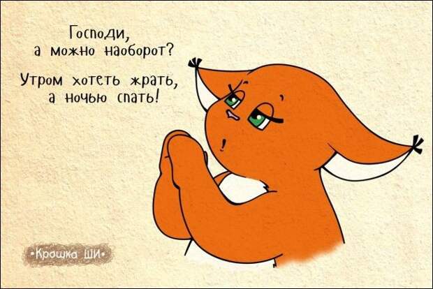 Девичья правда от белки Ши белка, рисунки