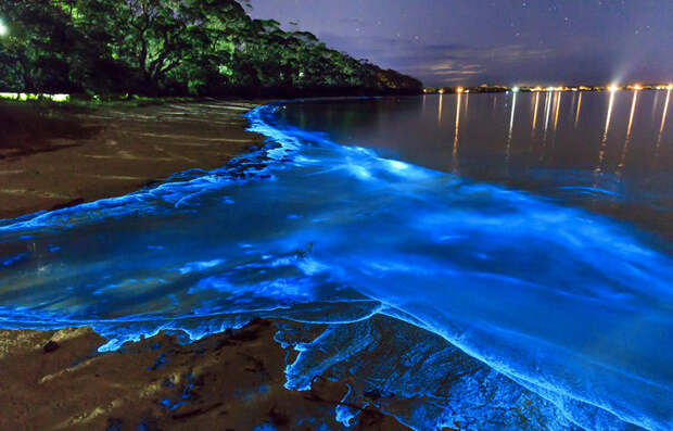 10 заливов с биолюминесцентной подсветкой