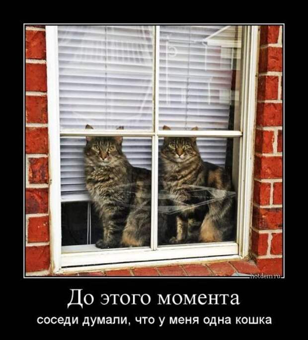 Новые весёленькие демотиваторы. Лучшие приколы Новые весёленькие демотиваторы. Лучшие приколы