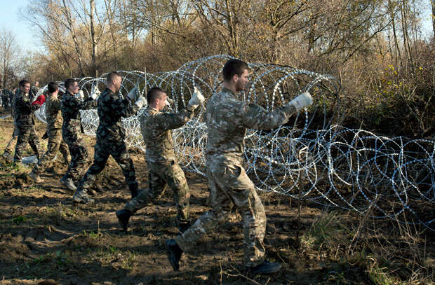 Фото: Darko Bandic / AP