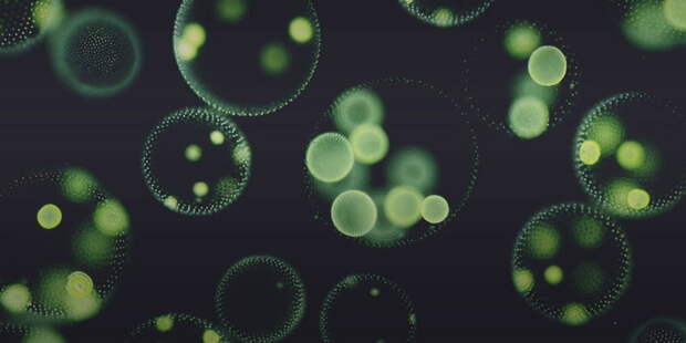 solazyme-homepage-banner1