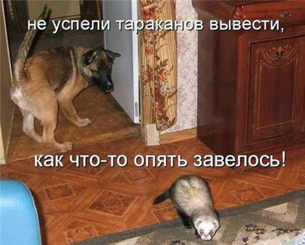 1254743405_1254647182_1254472333_12