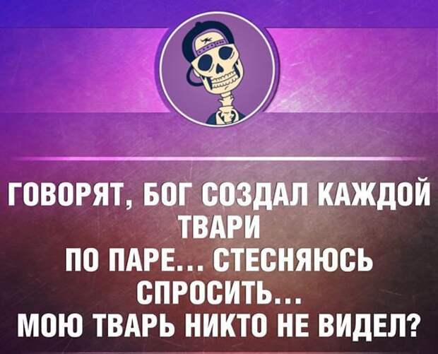 23 жизненные открытки для отличного настроения 23 жизненные открытки для отличного настроения открытки, юмор