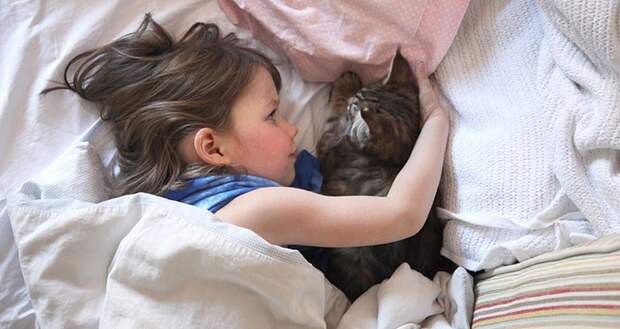 IrisandThula09 Как кошка Тула помогает девочке с аутизмом