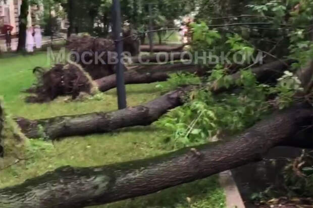Обрушившийся на Москву и Подмосковье мощный ураган вырвал деревья с корнем