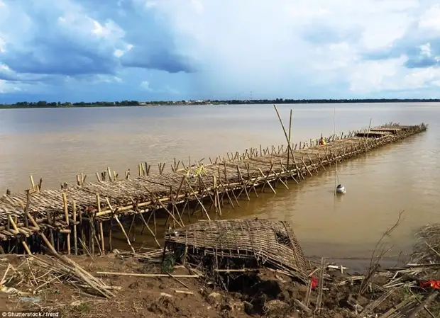 Ежегодный процесс постройки моста бамбук, в мире, камбоджа, конструкции, мосты, неожиданно, постройка, путешествия