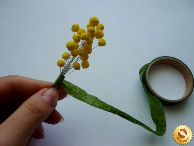 mimoza-iz-foamirana 8