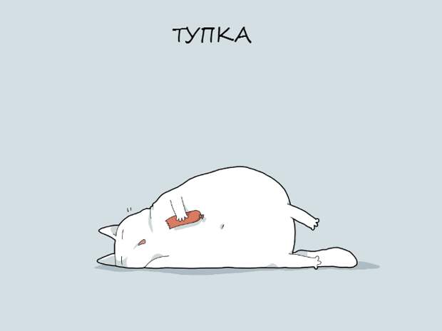 crazycat11