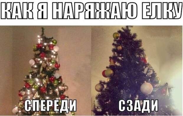 Смешные картинки с надписями прикол, юмор
