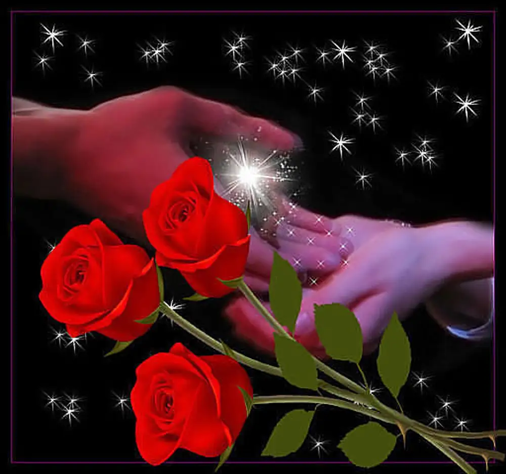Цветы для любимой женщины. Розы для тебя. Дарю цветочек. Вечерние розы. Будьте счастливы в этот вечер