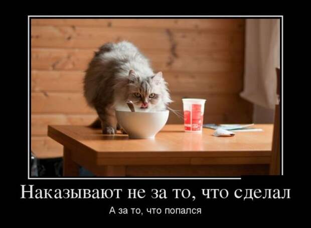 Демотиваторы (30 фото) Демотиваторы (30 фото)