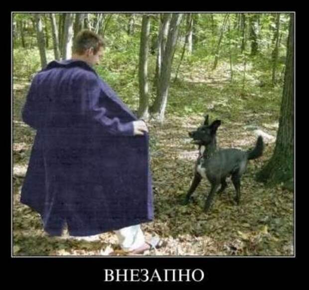 Демотиваторы приколы к выходным.