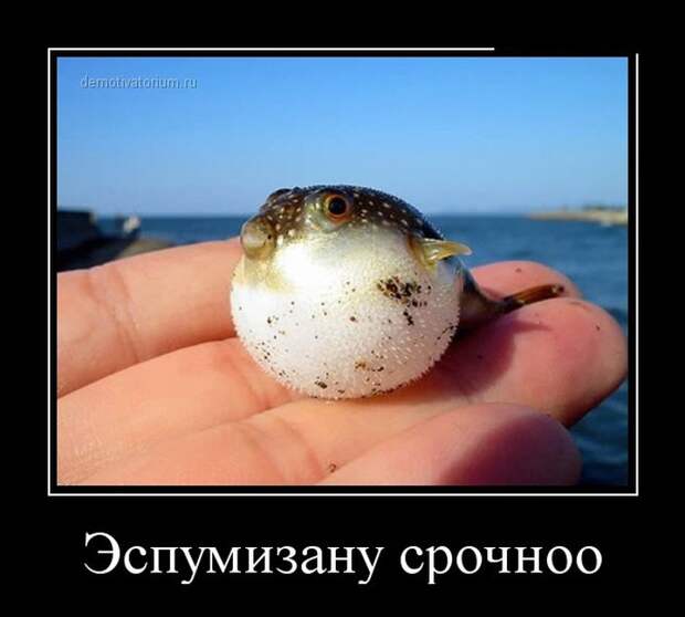 Демотиваторы демотиваторы, прикол, смех, юмор