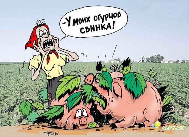 Давайте улыбаться вместе :)