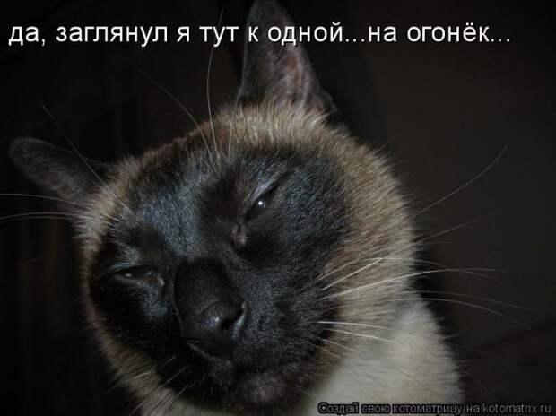 Мысли вслух :)