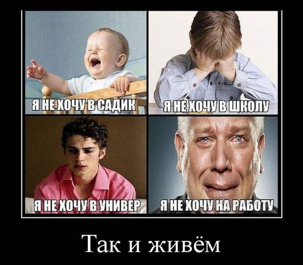 Так и живём демотиватор, юмор