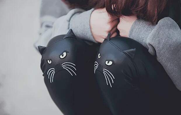 колени-коты