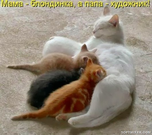 22f0a7d7eb6a0756530f97559dc_prev