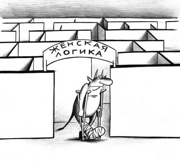 Забавные картинки