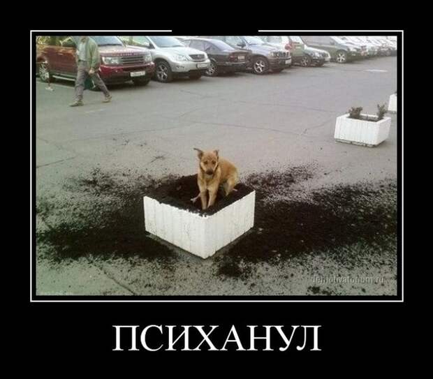 Демотиваторы демотиваторы, прикол, смех, юмор