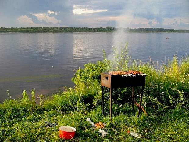 Идеальные шашлыки: пять популярных маринадов весна, мясо, рецепты, шашлык