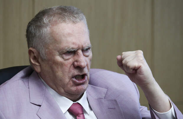 Владимир Жириновский. / Фото: www.life.ru