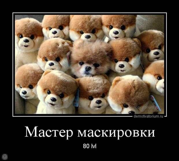 Пусть жизнь научит! 8