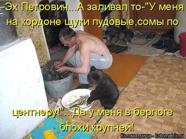 Лучшие котоматрицы недели