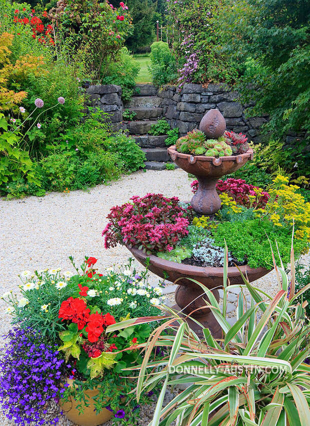 Vashon-Maury Island, WA<br /> Driscoll garden, flowering pots and containers planted in a gravel courtyard with a stone wall and stairway