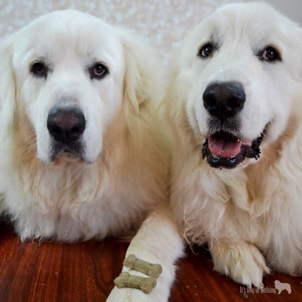 Any guesses on who is smiling and who is far too serious?