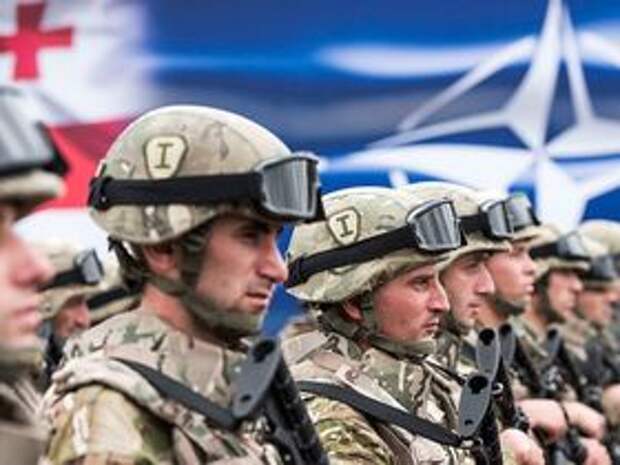 Фото с сайта nato.int