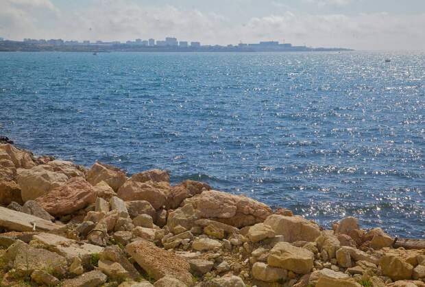 Информацию Украины о загрязнении вод Черного моря опровергли