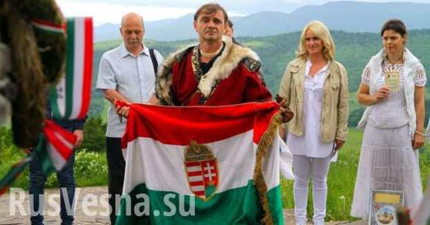 Киев в ярости: Венгрия выделила миллионы евро для развития своей культуры в Закарпатье (ВИДЕО) | Русская весна