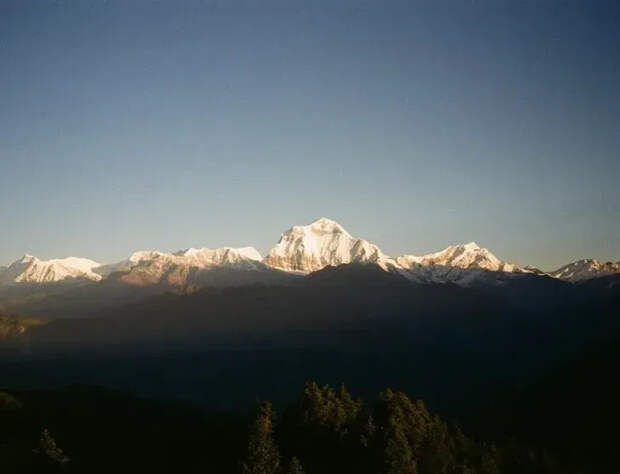 Фото Паулины Андреевой