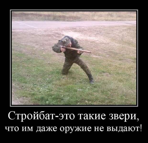 Демотиваторы (30 фото)